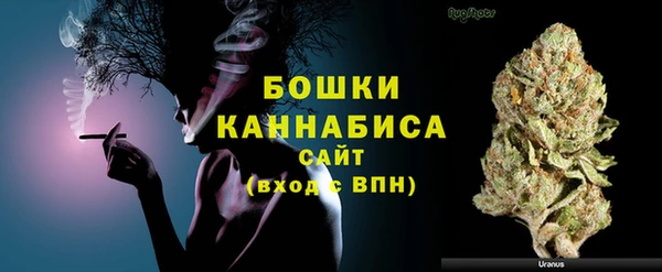 ECSTASY Покачи