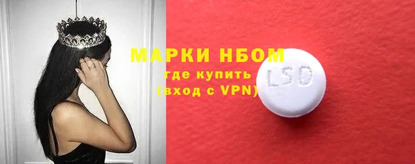 ECSTASY Покачи