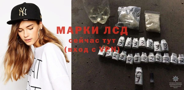 ECSTASY Покачи