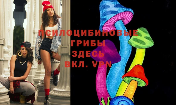 МДПВ Покров