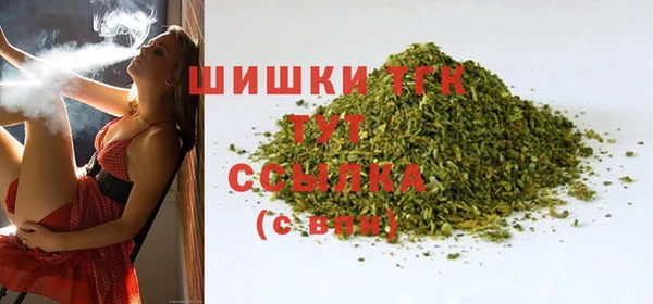 ECSTASY Покачи