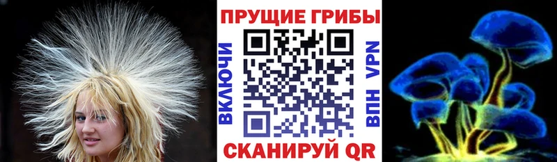 как найти   Печора  blacksprut ссылки  Галлюциногенные грибы GOLDEN TEACHER 
