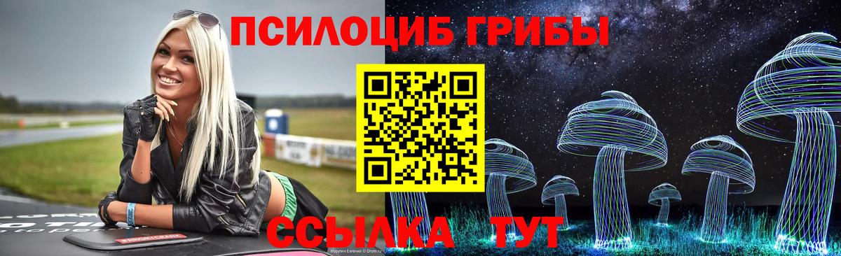 Псилоцибиновые грибы Psilocybine cubensis Печора