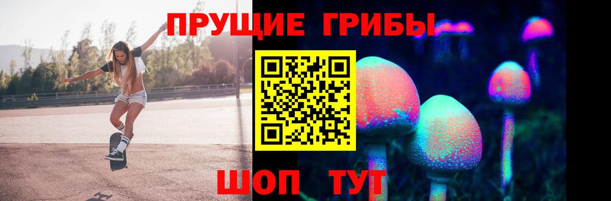 Псилоцибиновые грибы Psilocybe Печора